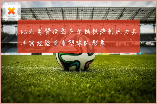 比利奇赞扬图多尔执教热刺认为其丰富经验将重塑球队形象